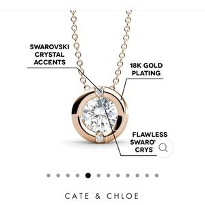 New in box Cate & Chloe rose gold necklace
